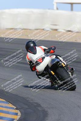 media/Feb-04-2023-SoCal Trackdays (Sat) [[8a776bf2c3]]/Turn 10 Backside (1010am)/